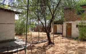 Фото 3 Участок в Яккасарайском районе