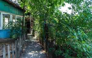 Фото 5 Участок в Яккасарайском районе