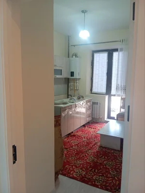 Фото 4 1-комн. квартира в Алгоритм Бек-барака