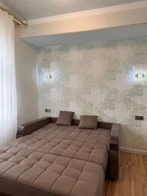 Фото 3 1-комн. квартира в Кушбеги