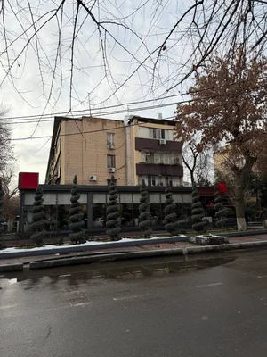 Фото 2 Коммерция в Мирзо-Улугбекском районе