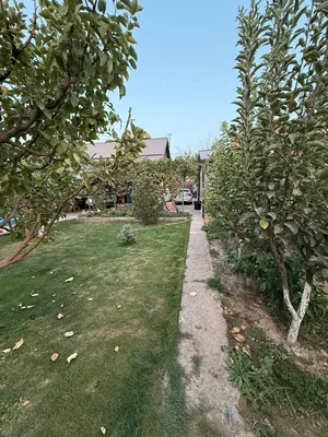 Фото 7 Дом в Паркентском районе