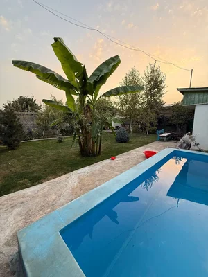 Фото 10 Дом в Паркентском районе