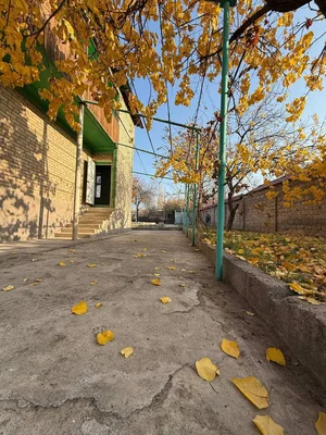 Фото 7 Дача в Чирчик-Газалкент