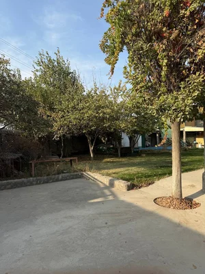 Фото 3 Участок в Янги