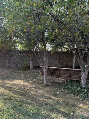 Фото 4 Участок в Янги