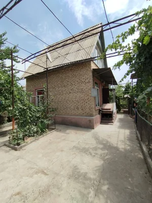 Фото 3 Дача в Паркентском районе