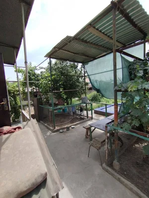 Фото 4 Дача в Паркентском районе