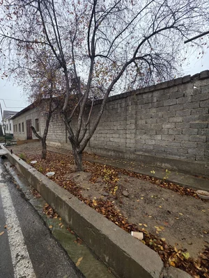 Фото 2 Участок в Дӯрмон Қ.Ф.Й.