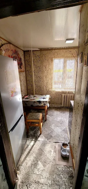 Фото 4 2-комн. квартира в Спутник 9