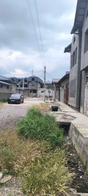 Фото 7 Два участка в Сергелийском районе