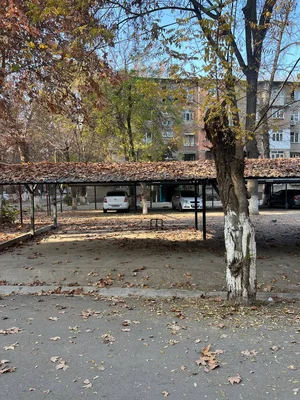 Фото 7 Квартира в Чиланзар 24 квартал