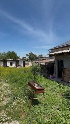 Фото 3 Участок в Старые Сергели