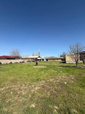 Фото 3 Участок в Янгибазаре