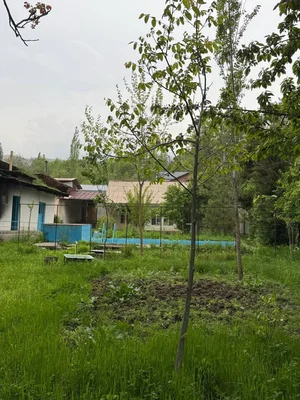 Фото 5 Участок в Сиджак