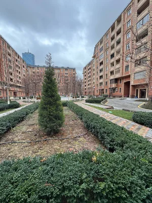 Фото 1 Дом в Ориентир- Текстильный мост