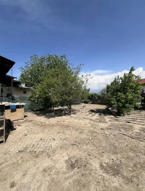 Фото 2 Участок в Мирзо-Улугбекском районе