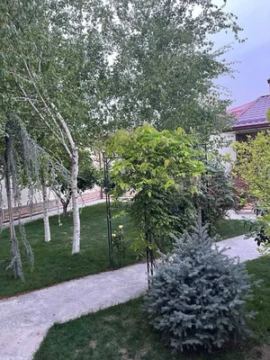 Фото 6 Дом в Мирзо-Улугбекском районе