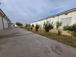 Фото 8 Фармзавод в свободной экономической зоне Паркентского района