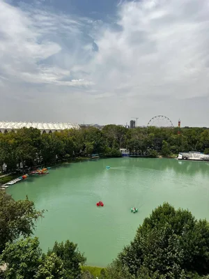 Фото 10 3-комн. квартира в Чиланзарском районе