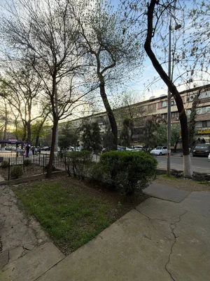 Фото 5 Офис в Мирзо-Улугбекском районе