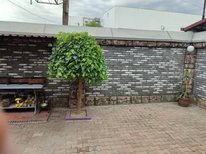 Фото 1 Дом в районе около парка Бабура