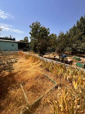 Фото 1 Участок в Мирзо-Улугбекском районе