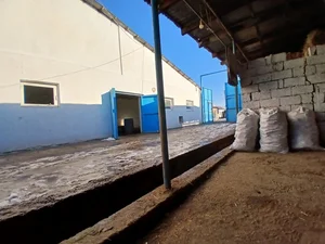 Фото 2 Дом в Кибрай Аргин Кипчок