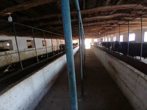 Фото 6 Дом в Кибрай Аргин Кипчок