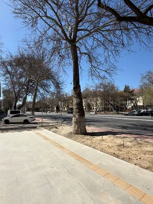 Фото 7 Офис в Хавас