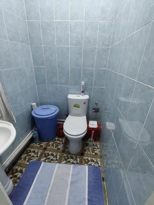 Фото 4 Дом в Миробадском районе