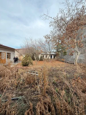 Фото 6 Участок в Паркентском районе