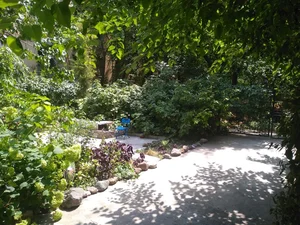 Фото 10 3-комн. квартира в Чиланзарском районе