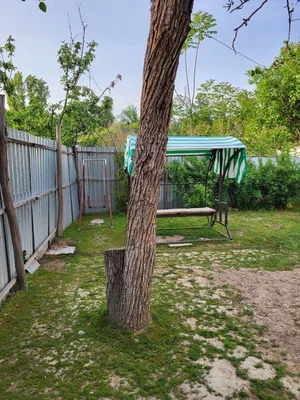 Фото 3 Участок в Юнусобаде