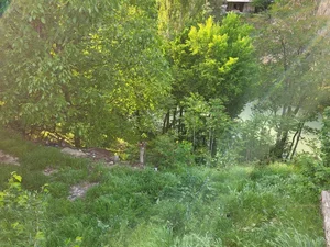 Фото 6 Участок в Юнусобаде