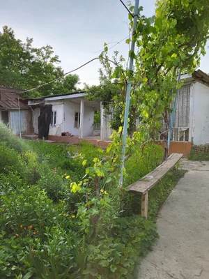 Фото 8 Участок в Юнусобаде