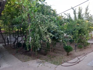 Фото 1 Участок в Лабзак