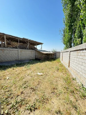 Фото 6 Дом в Зангиота