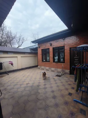 Фото 2 Участок в Мирзо-Улугбекском районе