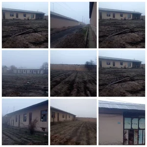 Фото 1 Участок в Зангиота тумани