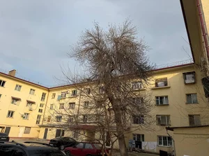 Фото 3 1-комн. квартира в Ор-тир Перекресток Ботанический сад