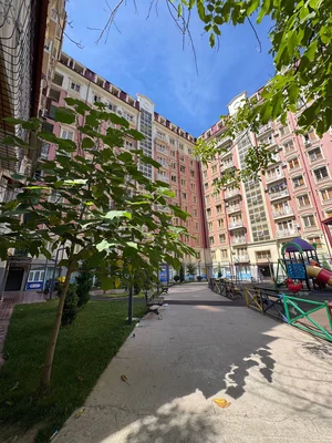 Фото 1 1-комн. квартира в Vosiq school
