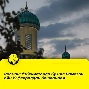 Фото 1 Не указано