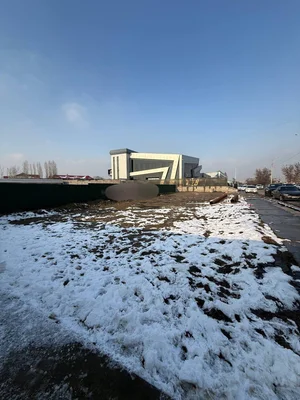 Фото 3 Участок в Сергилинском районе