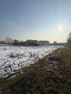 Фото 5 Участок в Сергилинском районе